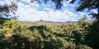 730 Basin Dr Gallery 2