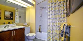 The Millie on Brush The Millie on Brush Gallery 10