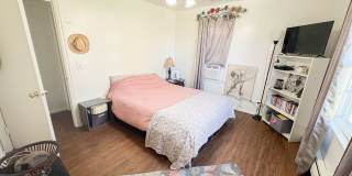 Adorable 2 BR 1 Bath home with Yard Gallery 12