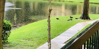 5620 Pinnacle Heights Cir Apt 207 5620 Pinnacle Heights Cir Apt 207 Gallery 5