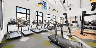 Camber Apartments Gallery 7