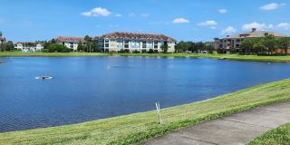 6470 Borasco Drive Gallery 20