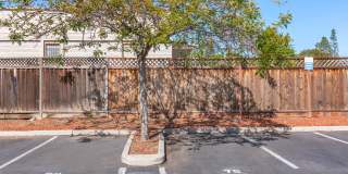 Paloma Vista Apartment Homes Paloma Vista Apartment Homes Gallery 22