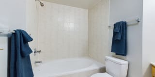 The Fields Gallery 12