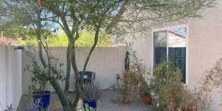 3706 E DESERT FLOWER Lane Gallery 22