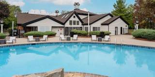 Steeplechase Gallery 41