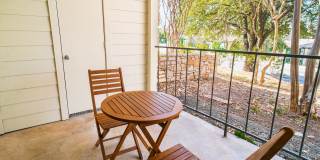 Lyv Austin Gallery 16