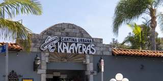 1048 Manzanita Gallery 29