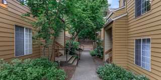 Brightwaters at Redhawk Gallery 2