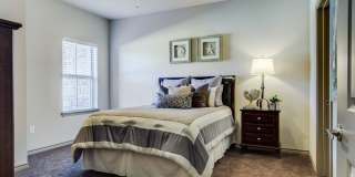 The Lakeshore Gallery 6