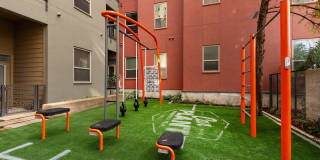 Can Plant Gallery 57