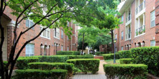 The Dorchester Apartments Gallery 11