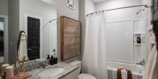 Lively at Drayton Mills Gallery 21