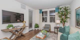 Vineyards Gallery 114