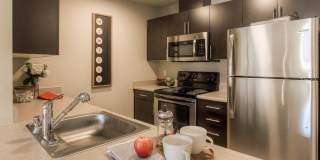 Puget Park Apartments Gallery 11