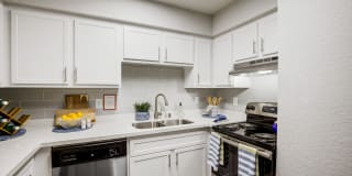 Allanza at the Lakes Gallery 38