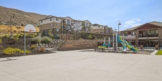 Triton Terrace Gallery 25