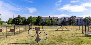 Sawmill Ridge Gallery 19