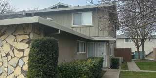 Whispering Woods Gallery 1