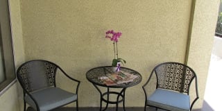 Oaks Gallery 34