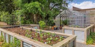 Arboretum Village Gallery 31