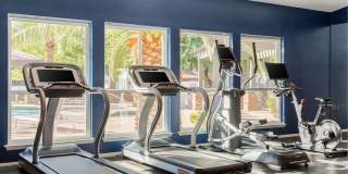 Cielo on Gilbert Gallery 26