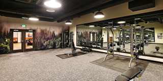 Terrace Station Gallery 47