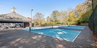 Avana Lexington Gallery 52