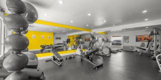 Sunset Square Gallery 61