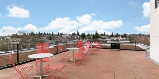 Helene Apartments Gallery 14