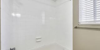Forest Cove Gallery 35