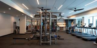 The Fenley Gallery 26