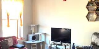South St 1618 Gallery 9
