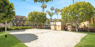 Allina La Jolla Gallery 3