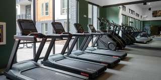 Legacy Metro 525 Gallery 50