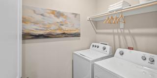 Avasa Spring Branch Gallery 19