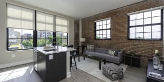 Arcade Sunshine Gallery 7