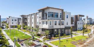 151 Manly Terrace Gallery 1