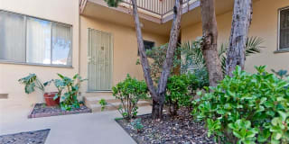 San Vicente Apartments Gallery 9