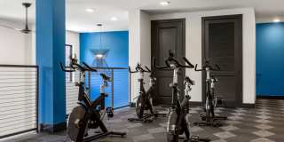 Alleia Presidio Gallery 17