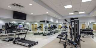 East Meadows Gallery 2