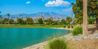 67821 N Portales Drive Gallery 48