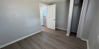 Welcome to St. Petersburg!!! Gallery 18