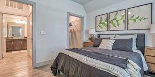 Plum Tree Apartments Gallery 15