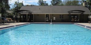 Stone Creek Gallery 12