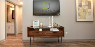 The Element Gallery 17