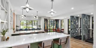 Ellison at The Exchange Gallery 7