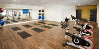 Kensington Place Gallery 21