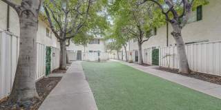 Los Gatos Creek Gallery 15