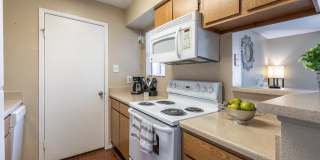 Park at Wells Branch Gallery 4